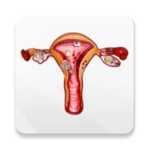 Logo of Diet & Help for Uterine Fibroids android Application 